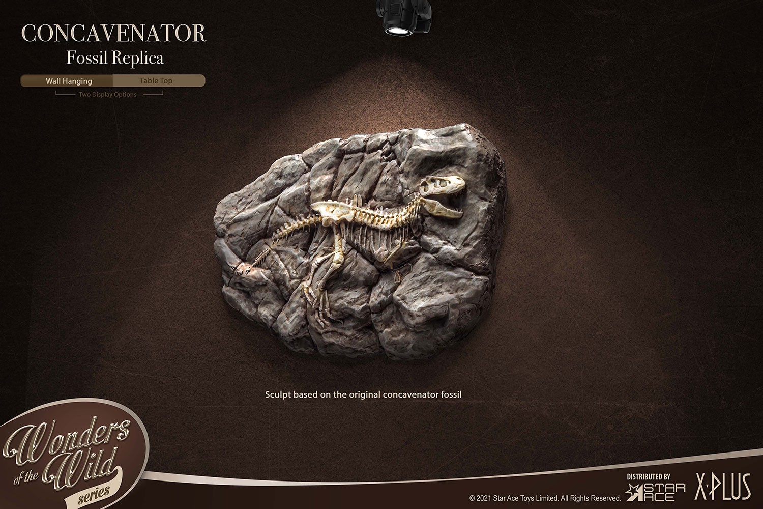 Fossil- Prototype Shown