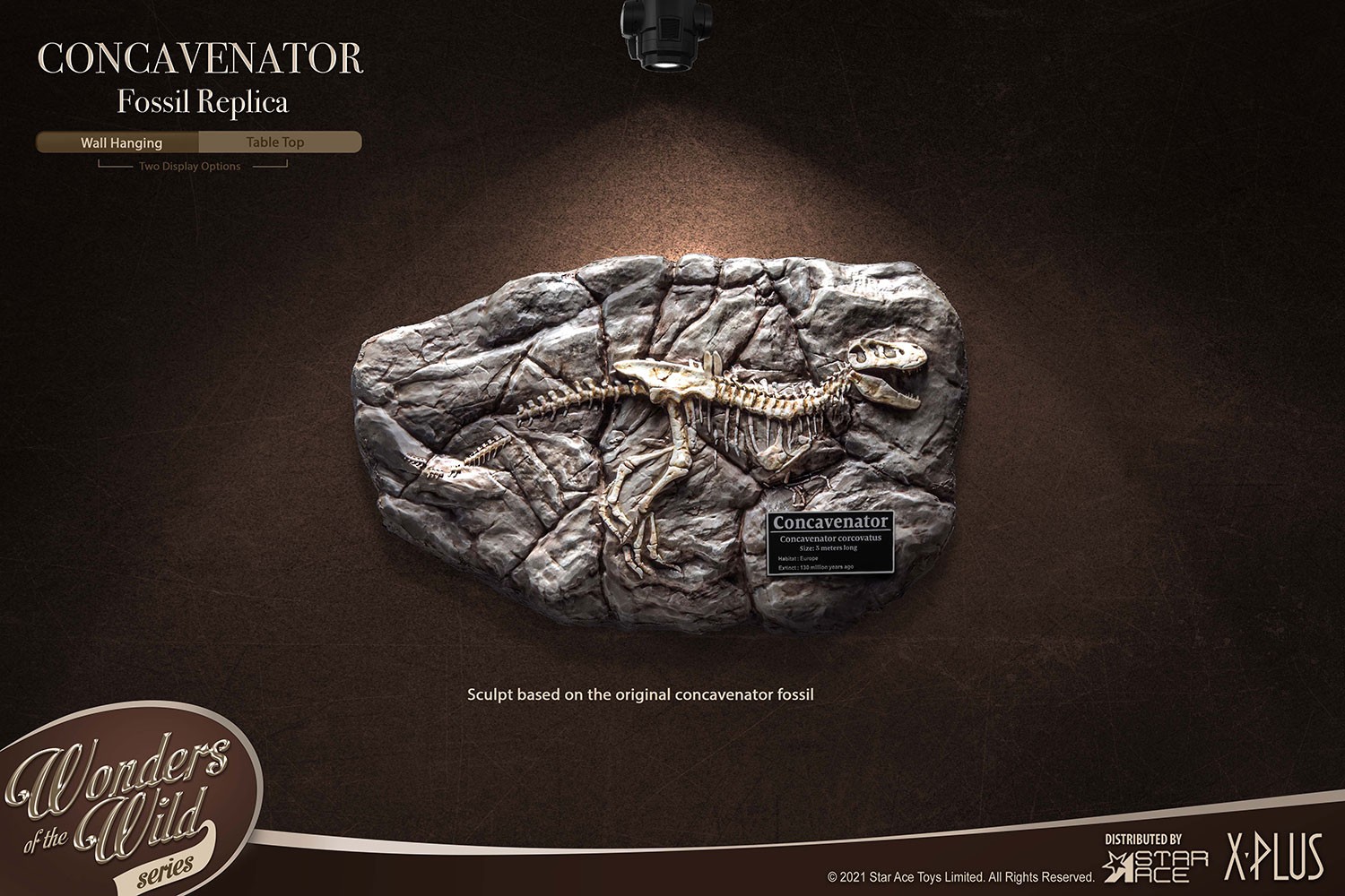 Fossil- Prototype Shown