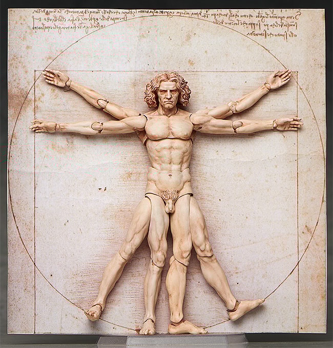 Vitruvian Man Figma- Prototype Shown