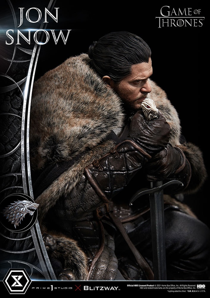Jon Snow (Prototype Shown) View 57