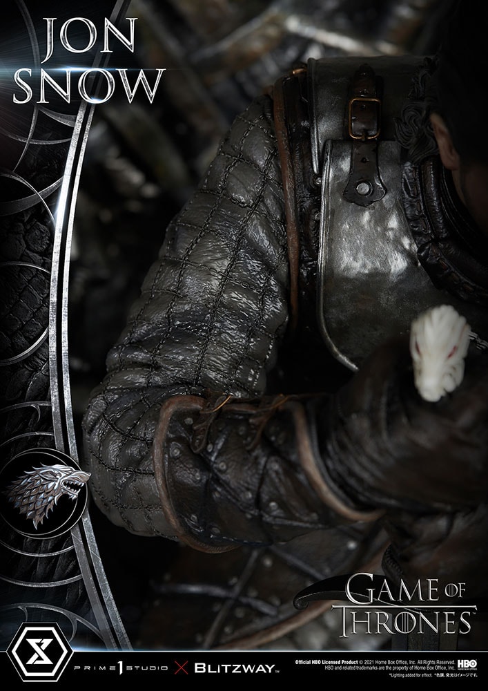 Jon Snow (Prototype Shown) View 61