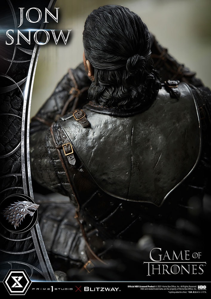Jon Snow (Prototype Shown) View 31