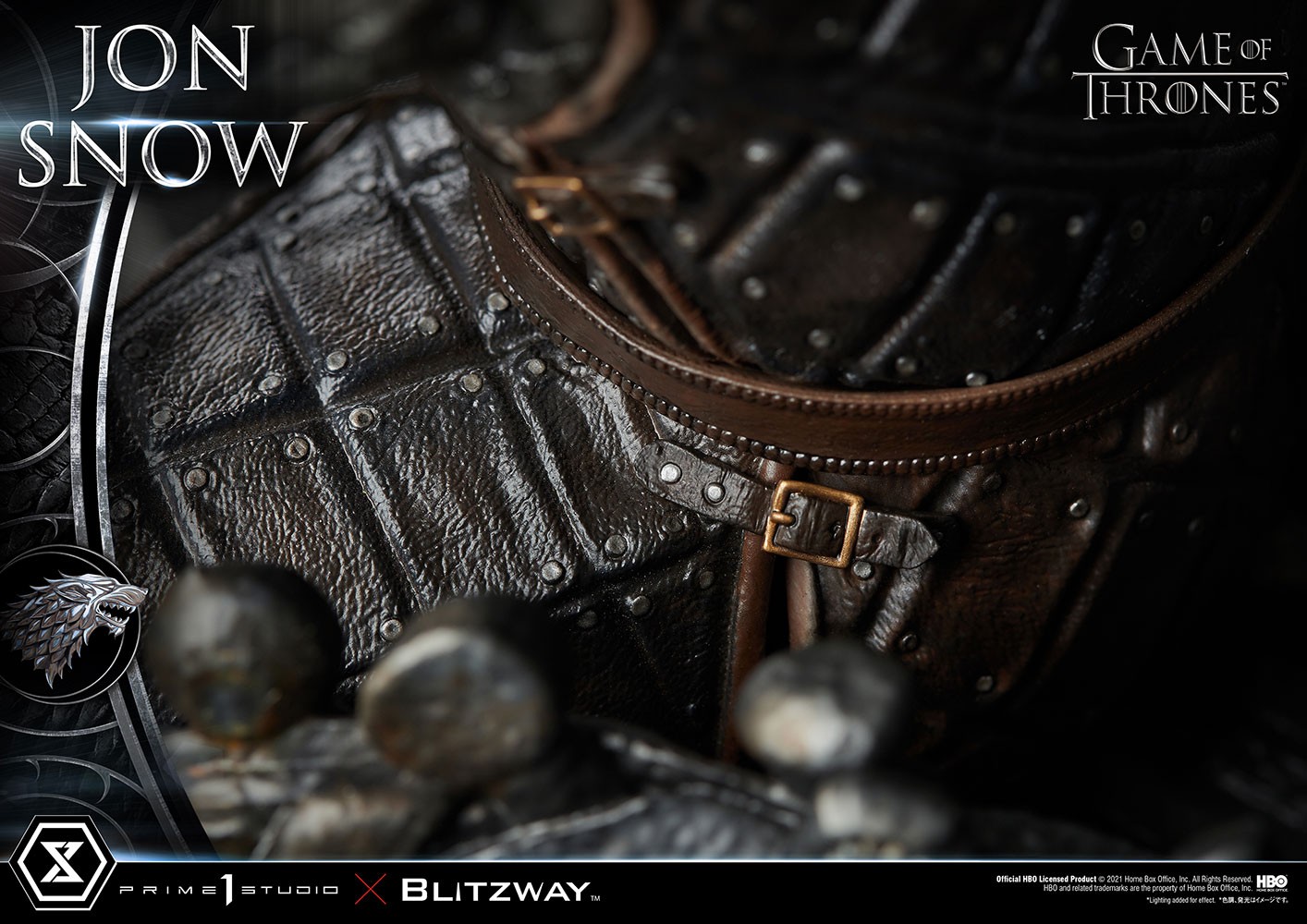 Jon Snow (Prototype Shown) View 21