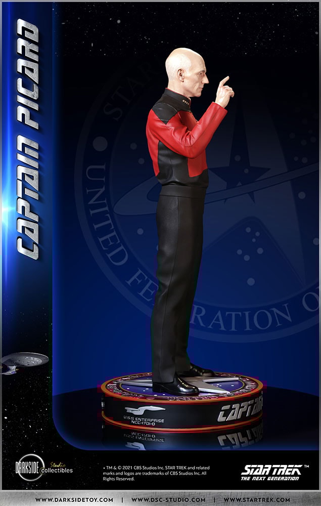 Captain Picard (Prototype Shown) View 23