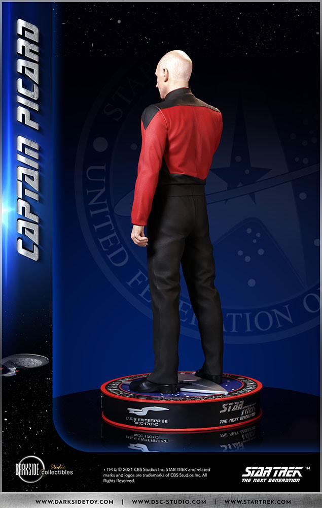 Captain Picard (Prototype Shown) View 26