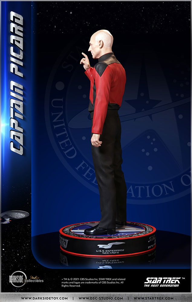 Captain Picard (Prototype Shown) View 27