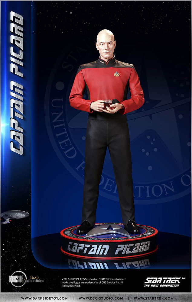 Captain Picard (Prototype Shown) View 29