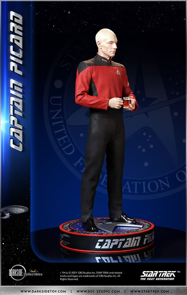 Captain Picard (Prototype Shown) View 22