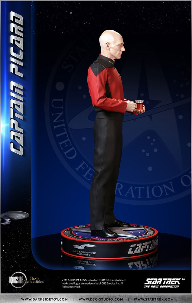 Captain Picard (Prototype Shown) View 30