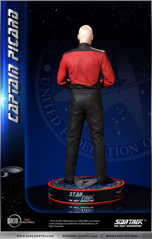 Captain Picard (Prototype Shown) View 33
