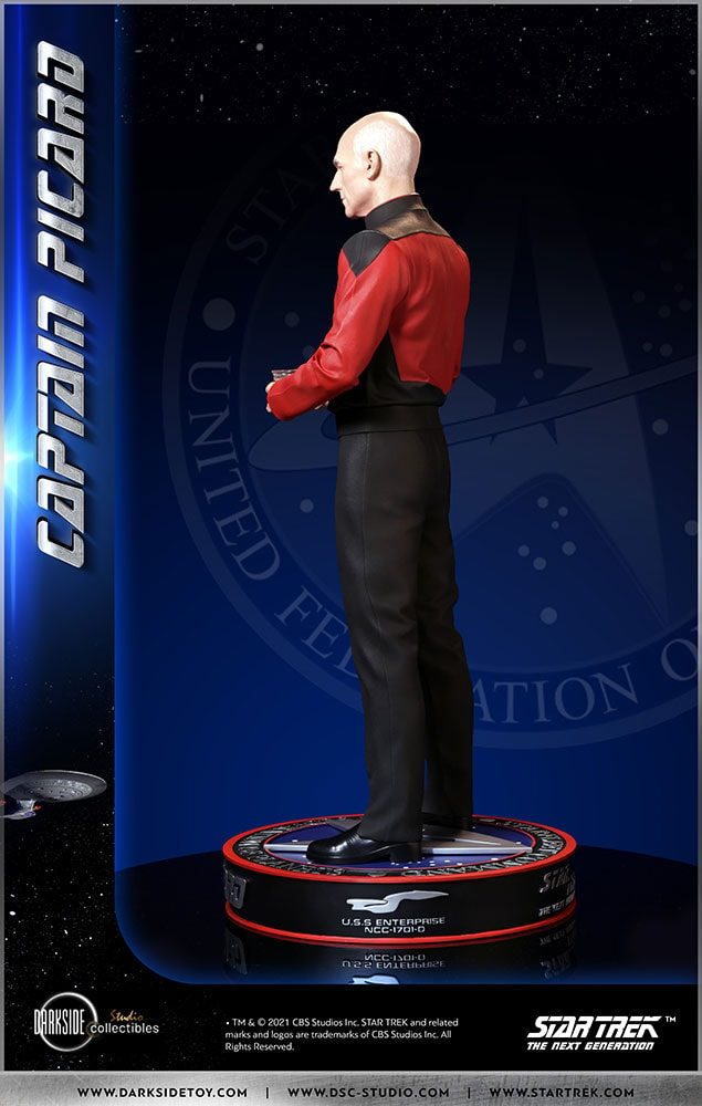 Captain Picard (Prototype Shown) View 35