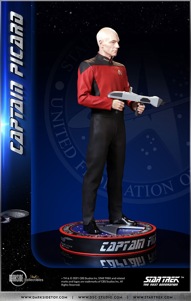 Captain Picard (Prototype Shown) View 38