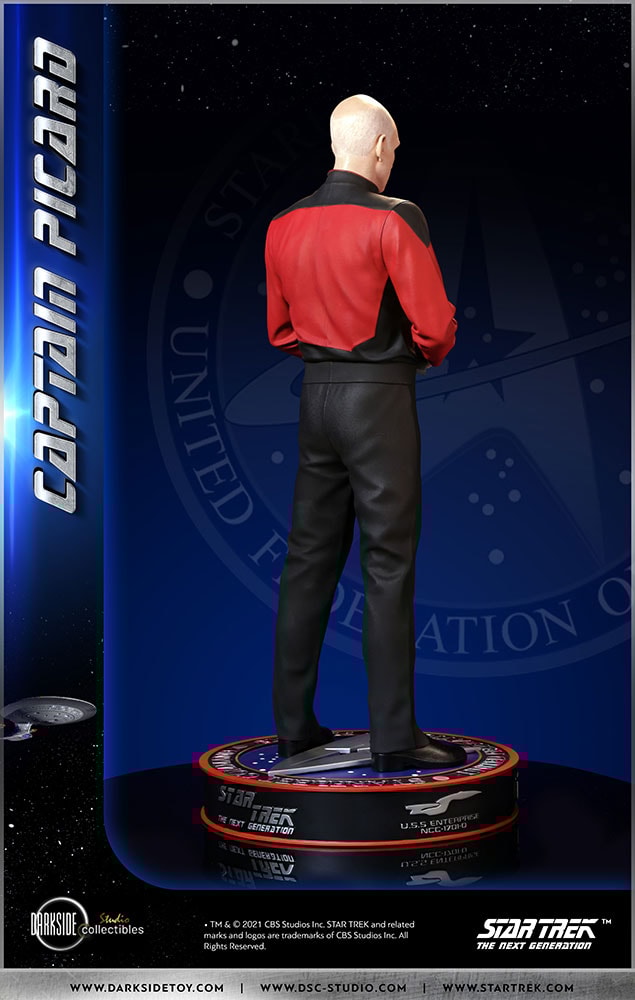 Captain Picard (Prototype Shown) View 20