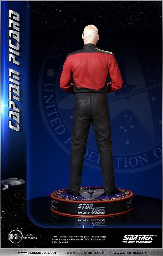Captain Picard (Prototype Shown) View 19