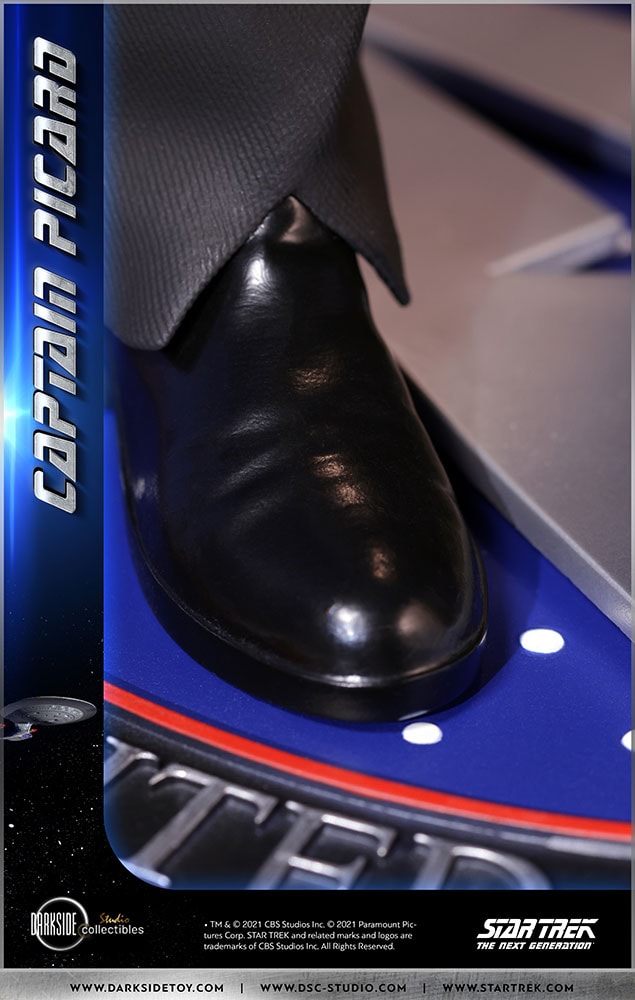 Captain Picard (Prototype Shown) View 8