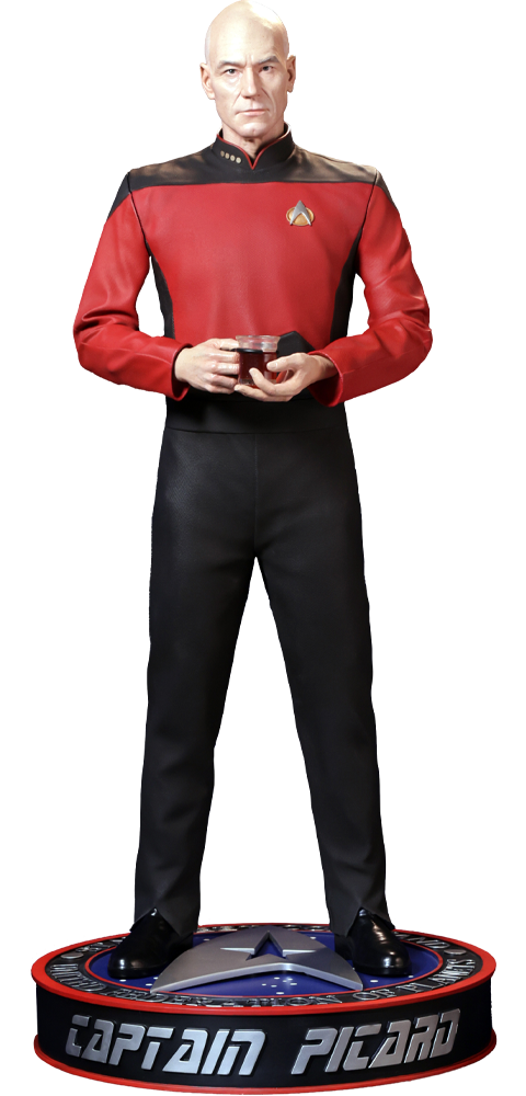 Captain Picard (Prototype Shown) View 40