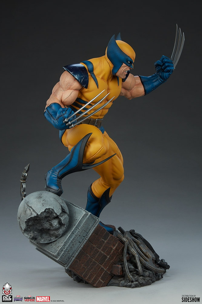 Wolverine View 25