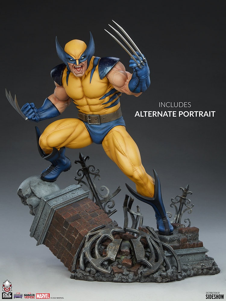 Wolverine View 22