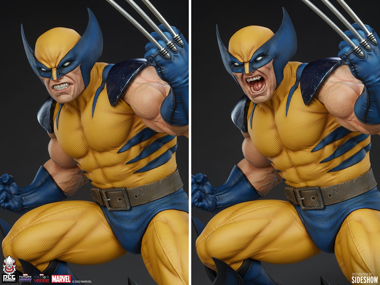 Wolverine View 21