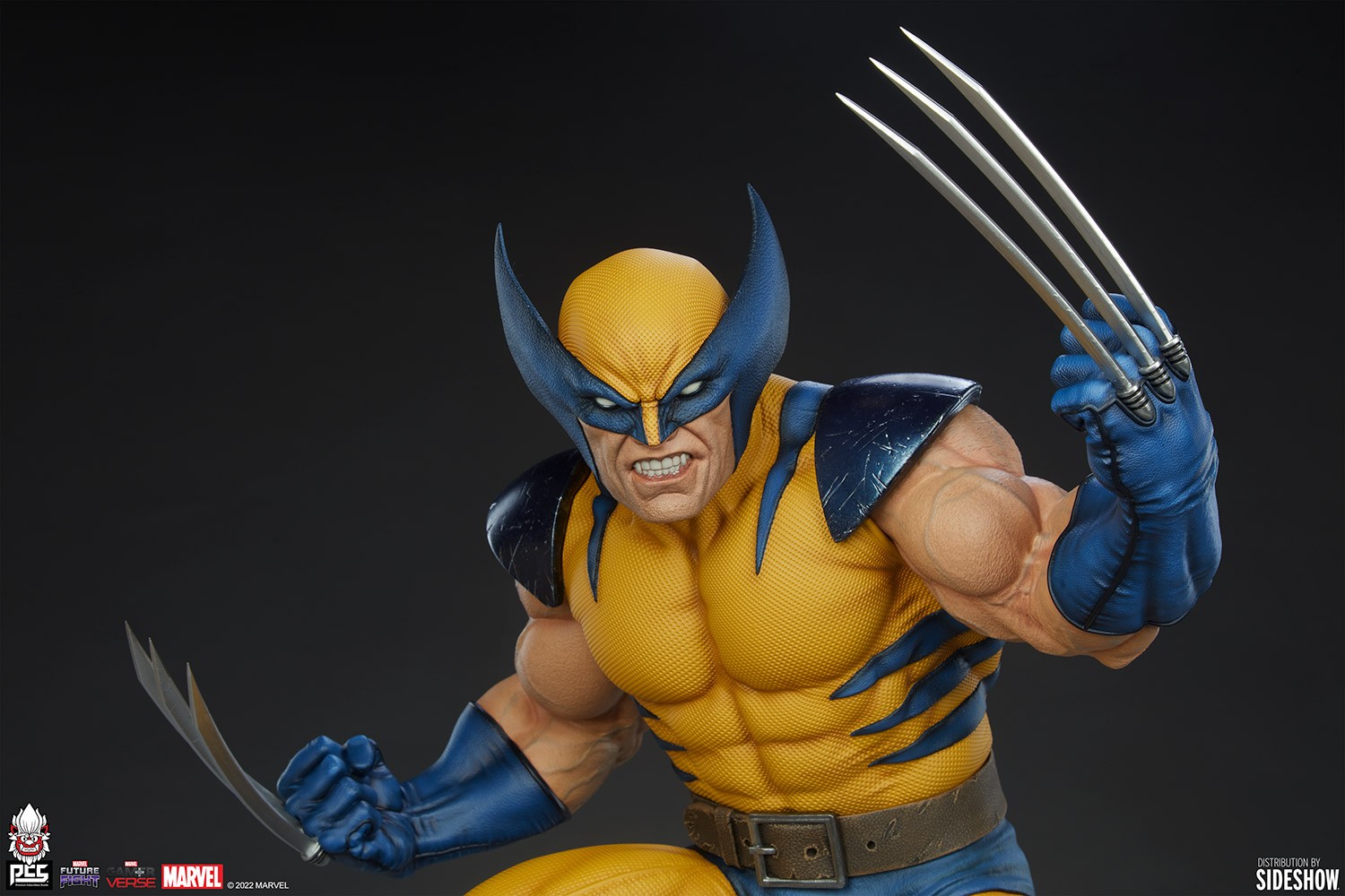 Wolverine View 19