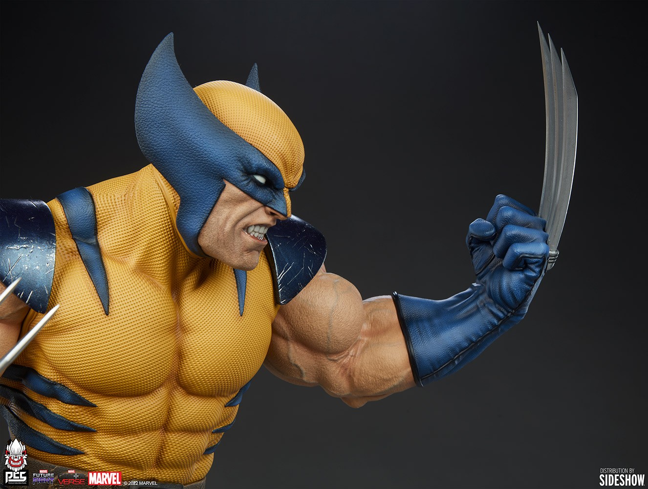 Wolverine View 16