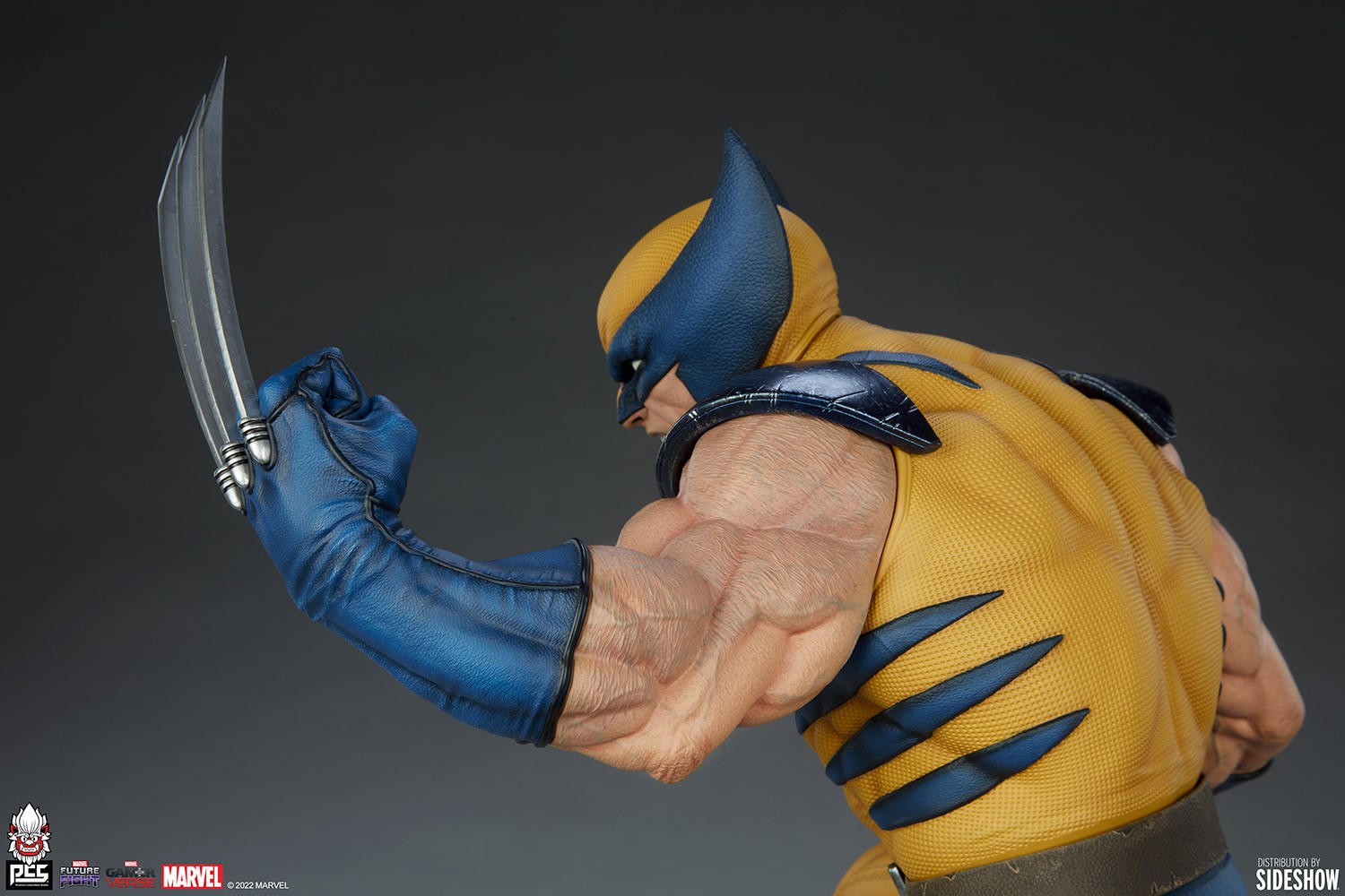 Wolverine View 15
