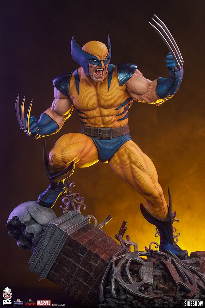 Wolverine View 33