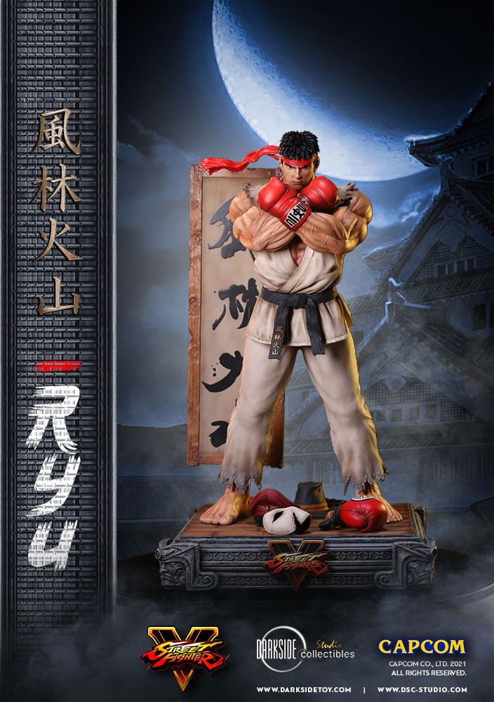 Ryu (Prototype Shown) View 1
