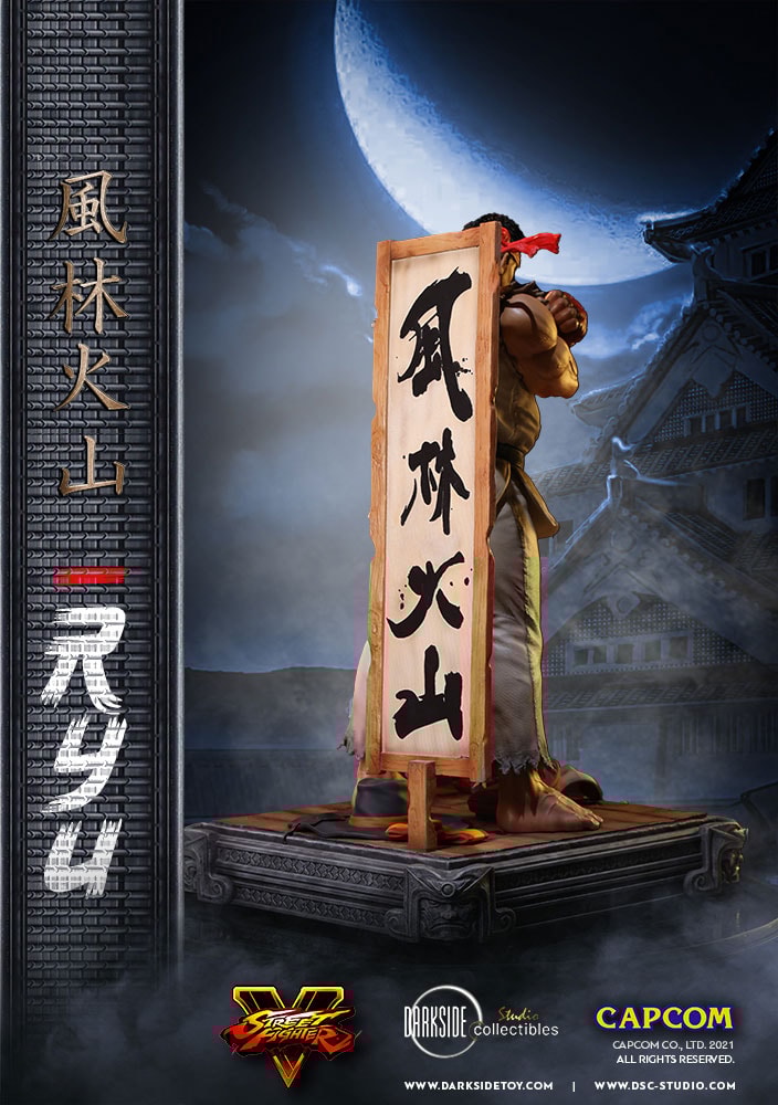 Ryu (Prototype Shown) View 31