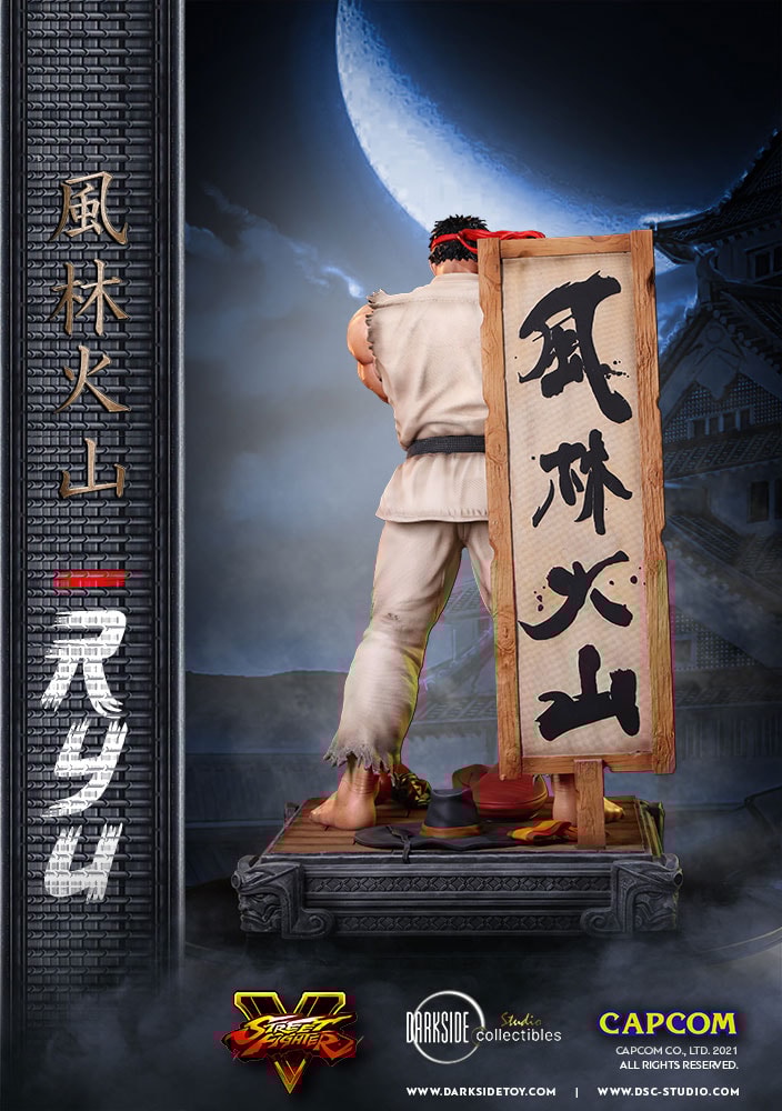 Ryu (Prototype Shown) View 30