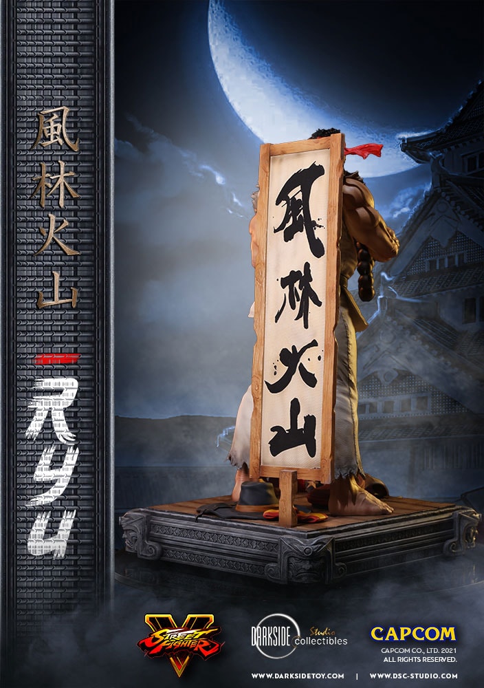 Ryu (Prototype Shown) View 27