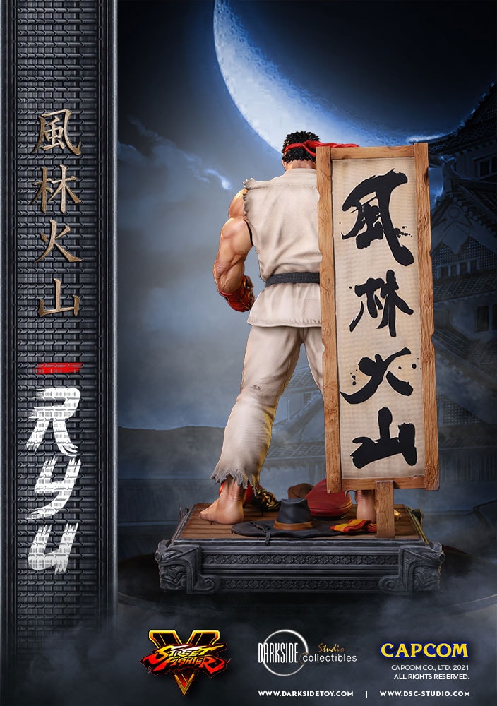 Ryu (Prototype Shown) View 26
