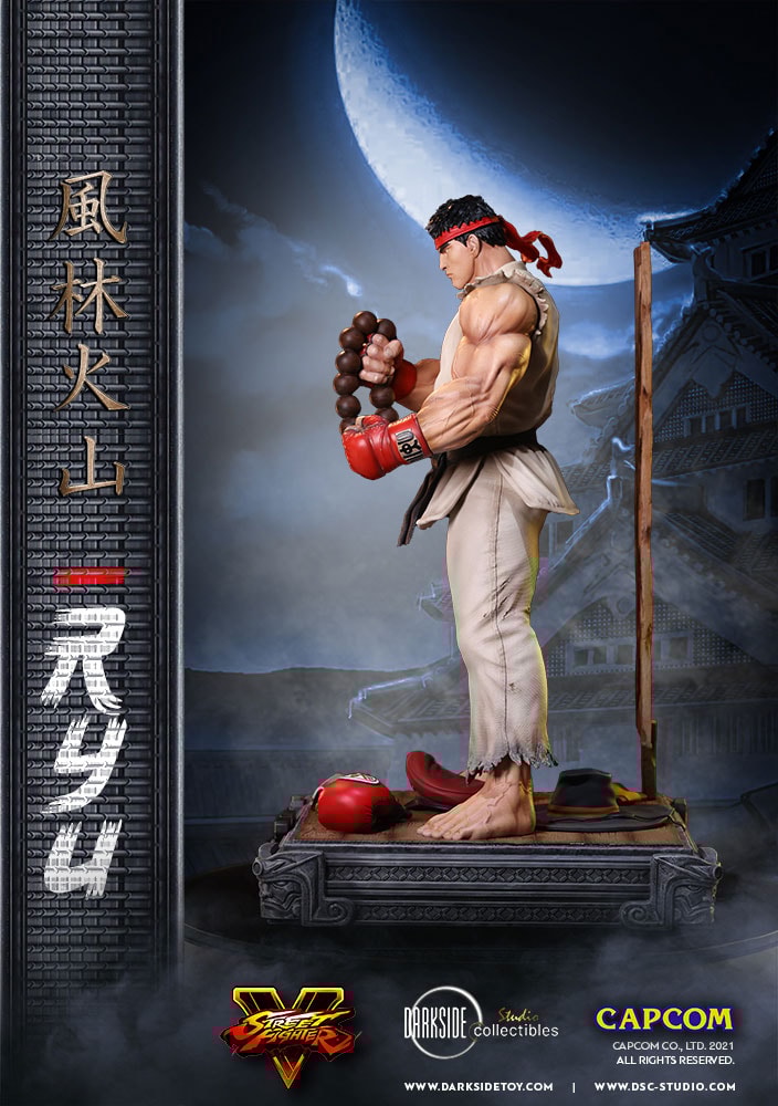 Ryu (Prototype Shown) View 25