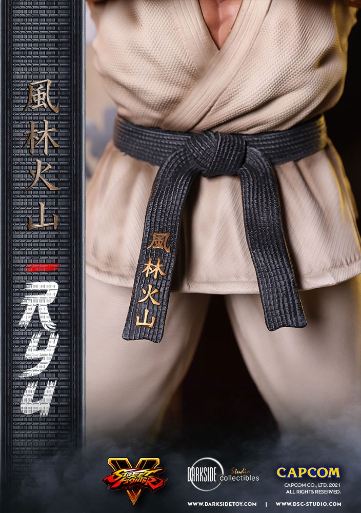 Ryu (Prototype Shown) View 19