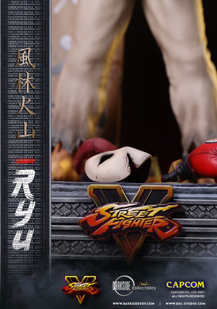 Ryu (Prototype Shown) View 18