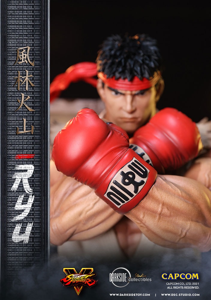 Ryu (Prototype Shown) View 14