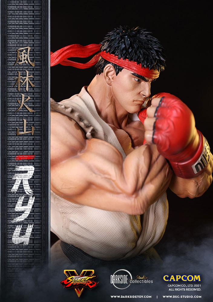 Ryu (Prototype Shown) View 13