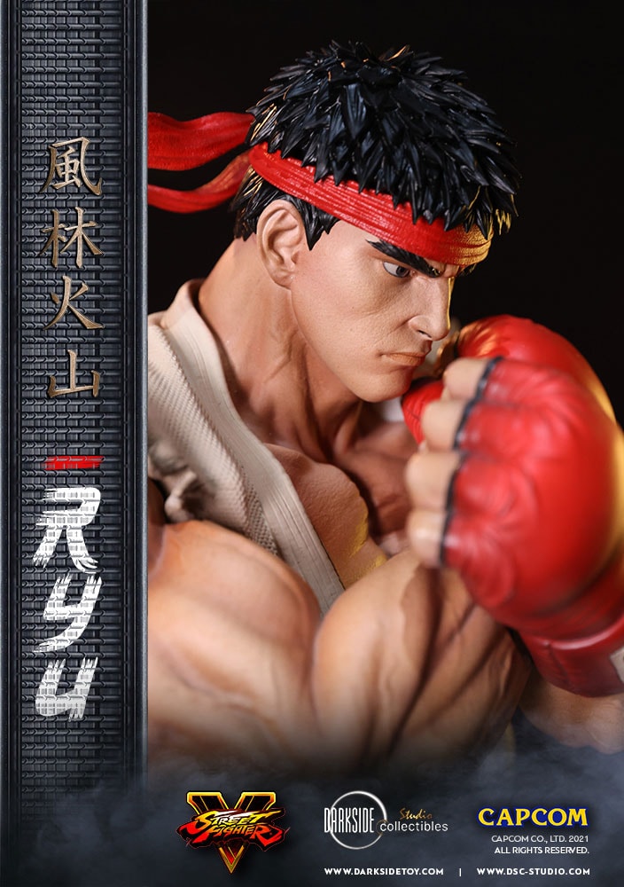 Ryu (Prototype Shown) View 12
