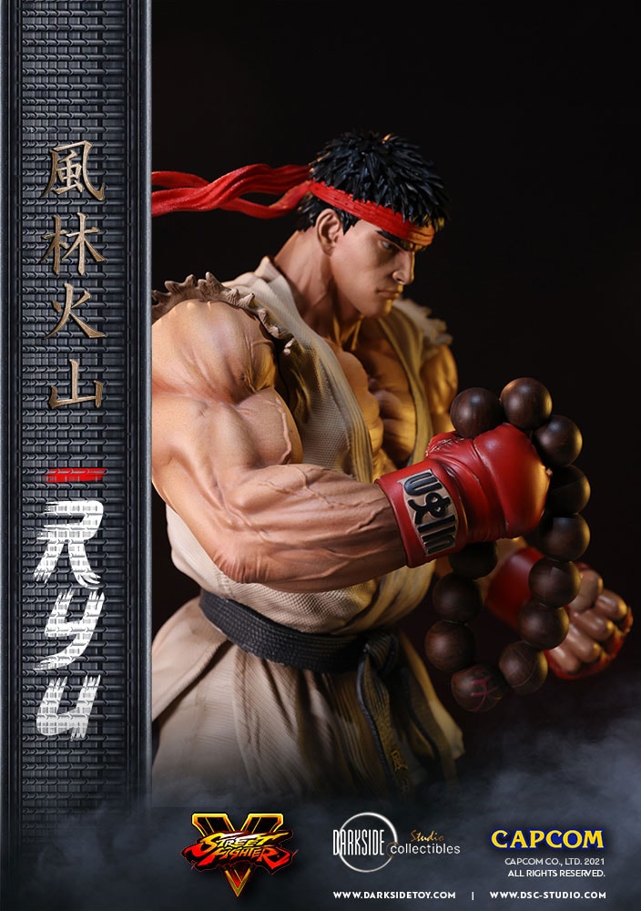 Ryu (Prototype Shown) View 11