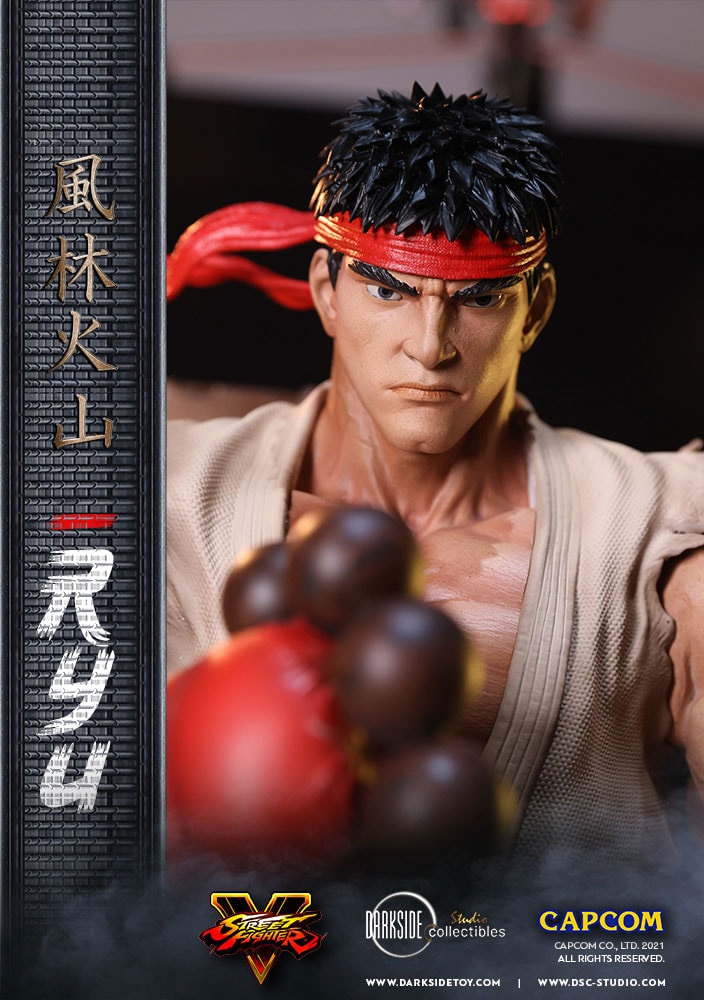 Ryu (Prototype Shown) View 10