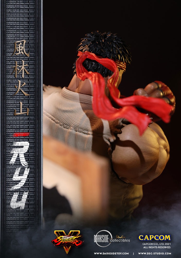 Ryu (Prototype Shown) View 9