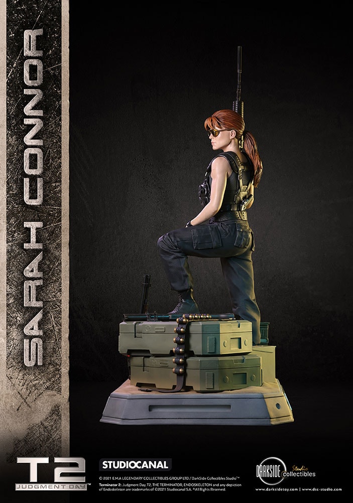 Sarah Connor Collector Edition (Prototype Shown) View 33