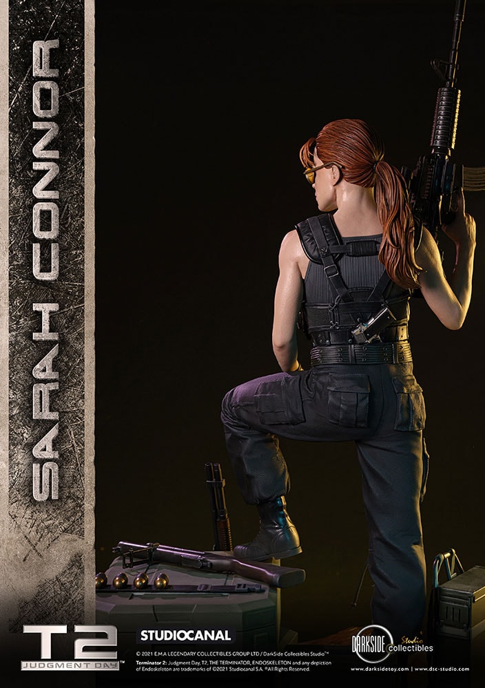 Sarah Connor Collector Edition (Prototype Shown) View 23