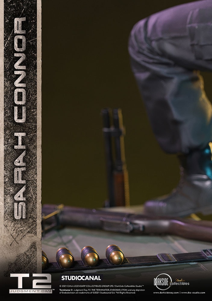 Sarah Connor Collector Edition (Prototype Shown) View 14
