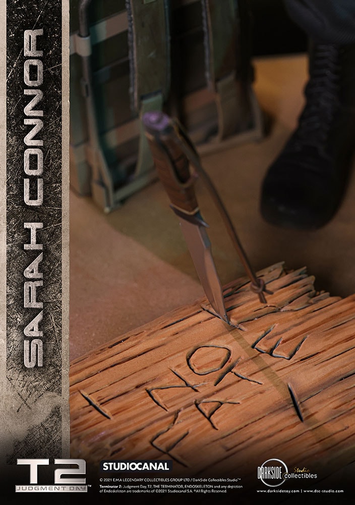 Sarah Connor Collector Edition (Prototype Shown) View 15