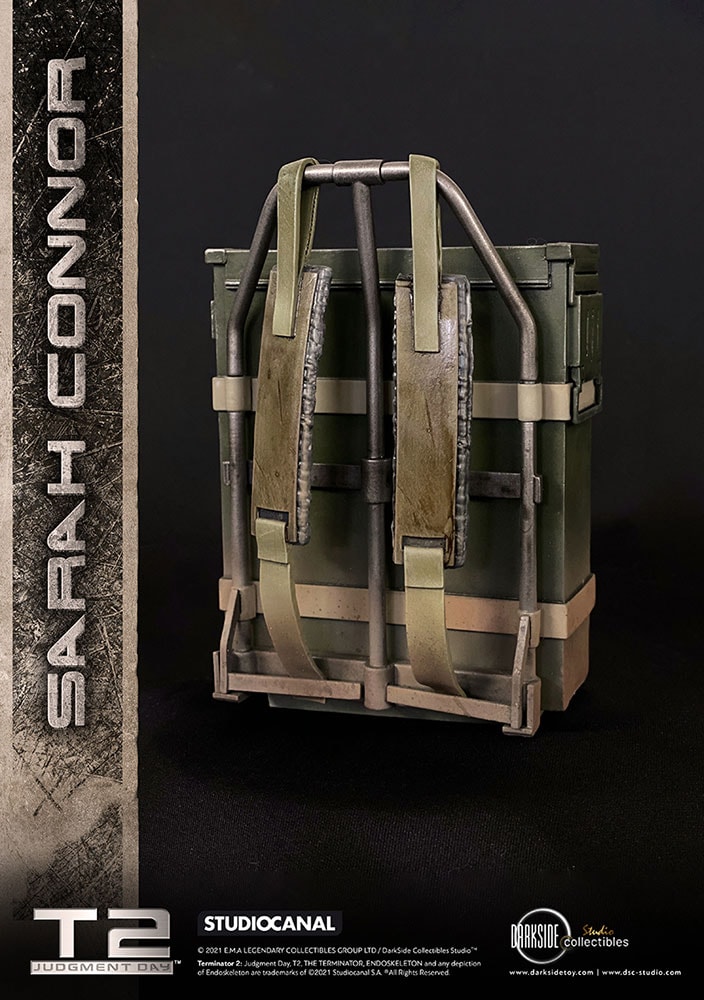 Sarah Connor Collector Edition (Prototype Shown) View 45