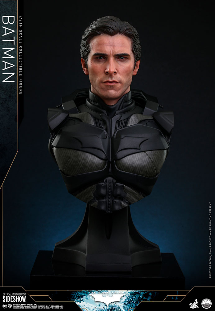 Batman Collector Edition (Prototype Shown) View 10