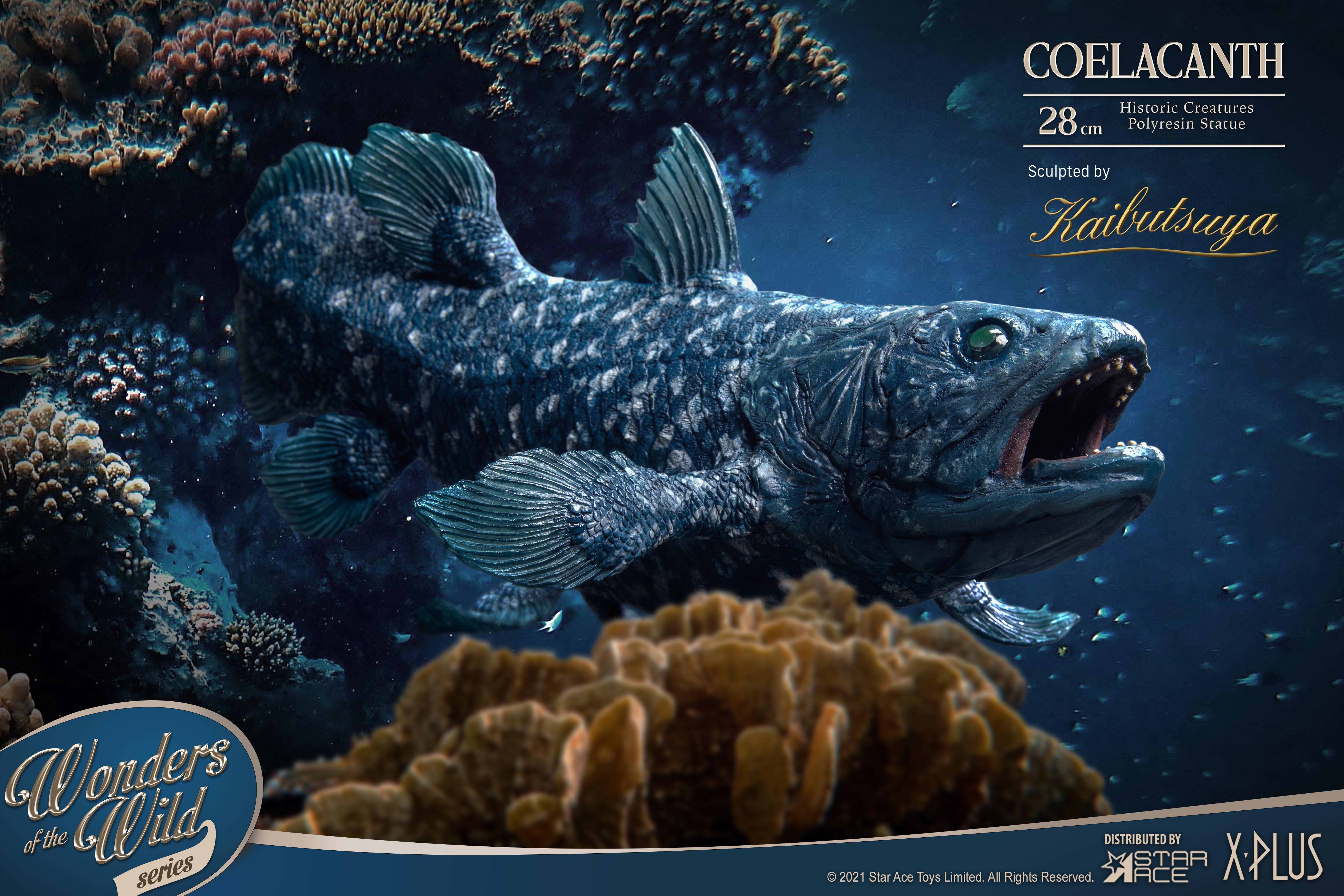 Coelacanth Collector Edition (Prototype Shown) View 8