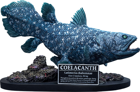 Coelacanth Collector Edition (Prototype Shown) View 9