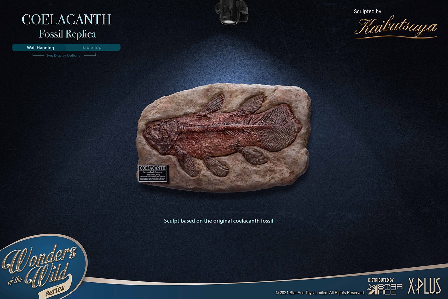 Coelacanth (Deluxe Version) (Prototype Shown) View 10